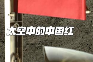 字母哥：我们不能放过任何机会 球队必须努力争取成功